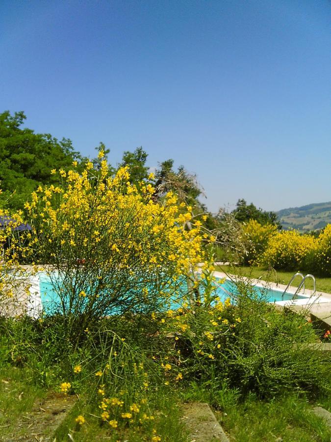 Bed And Breakfast Il Governatore Urbino Extérieur photo