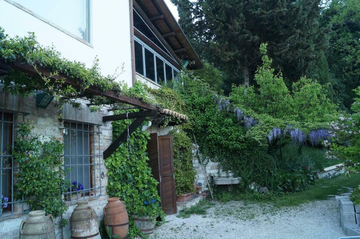 Bed And Breakfast Il Governatore Urbino Extérieur photo