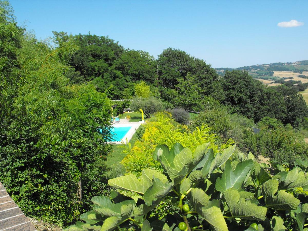 Bed And Breakfast Il Governatore Urbino Extérieur photo